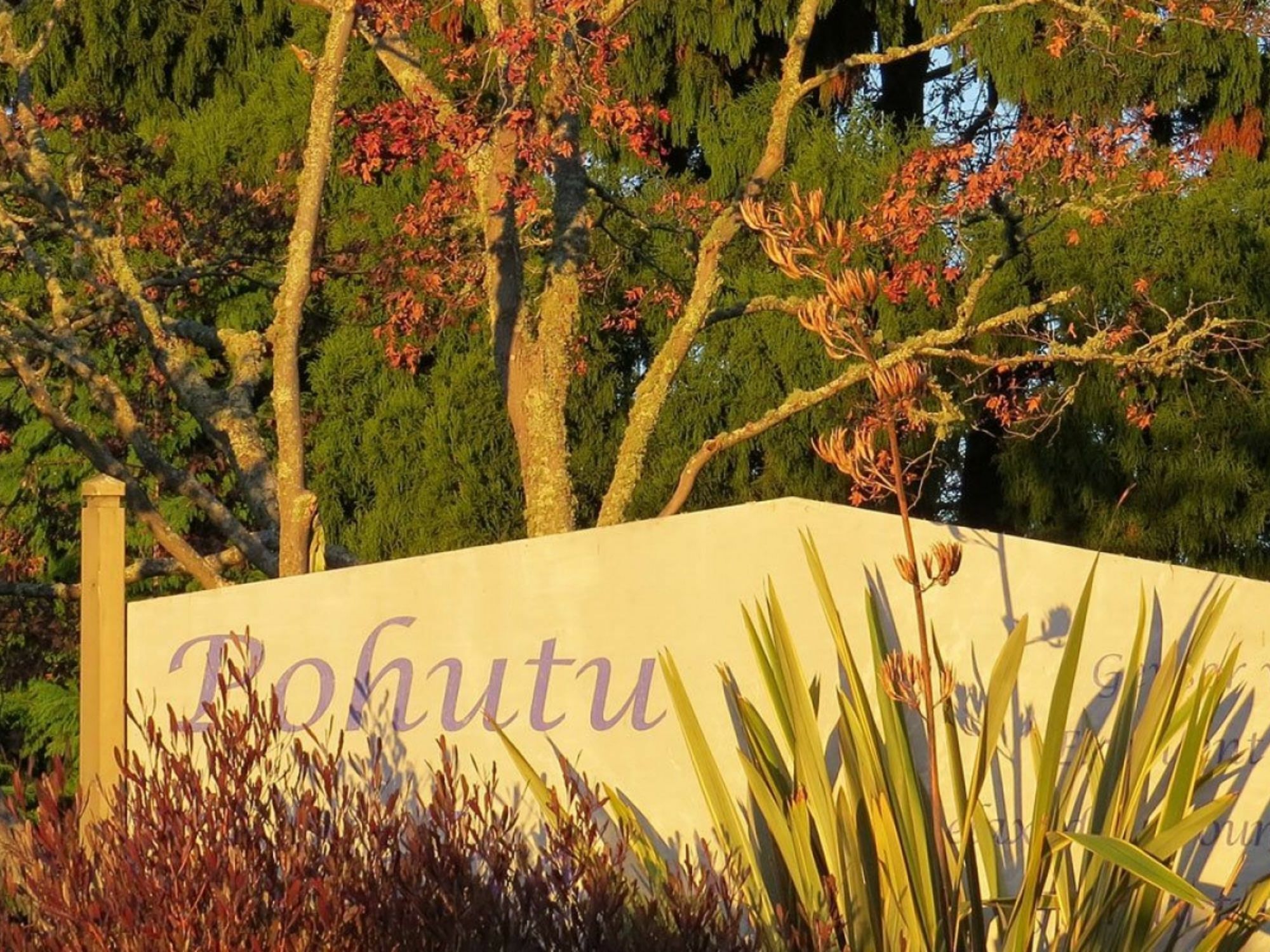 Pohutu Lodge Motel Rotorua Luaran gambar